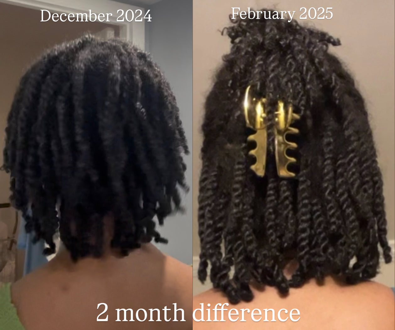 Herbal Halo Hair Growth Oil